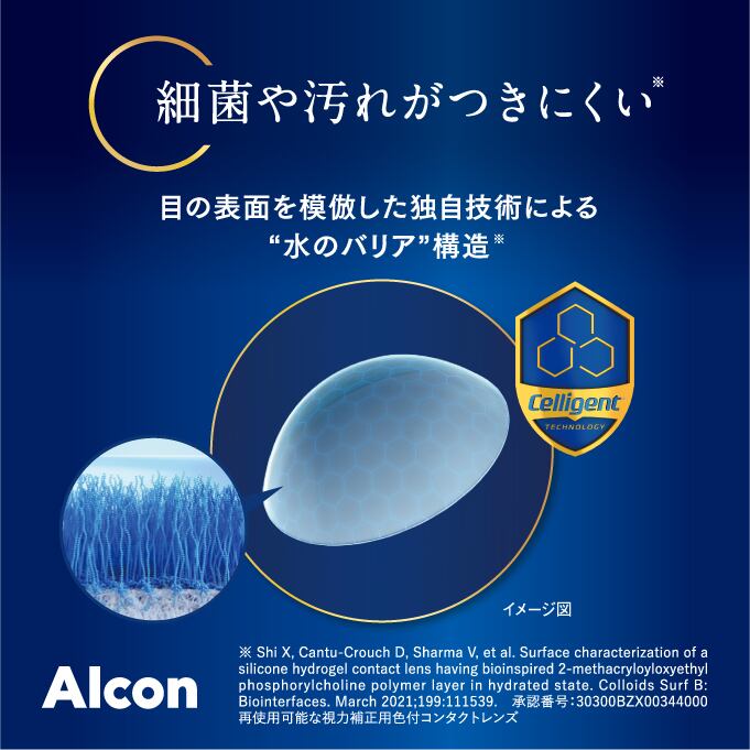 デイリーズトータルフォーティーン